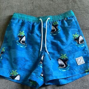 American Eagle Swim Trunks